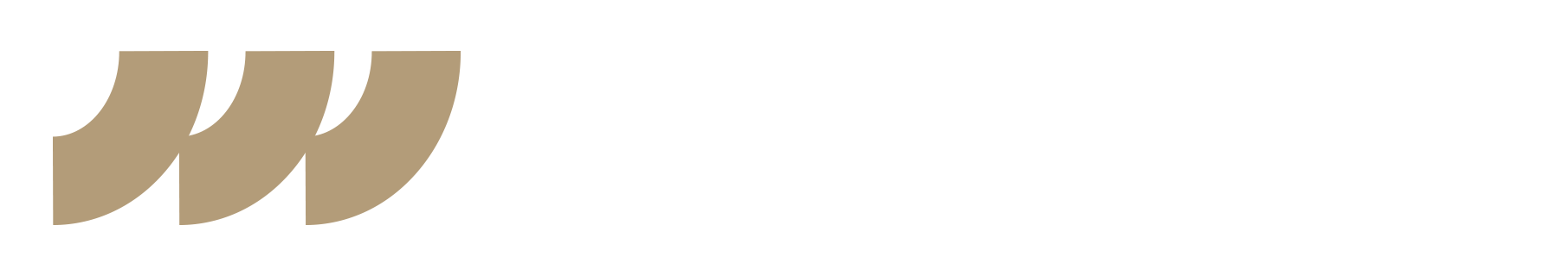 Nickel5 Logo
