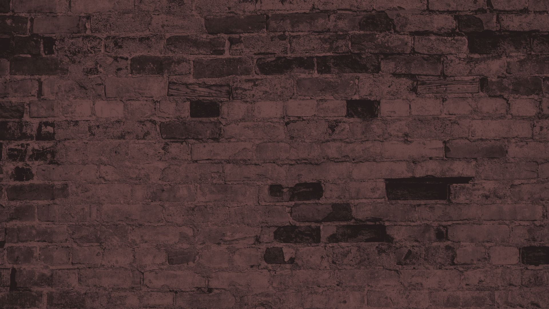 Team Background